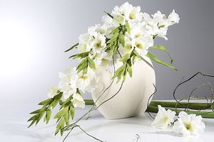 Image chosen by user