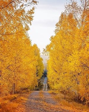 Image chosen by user