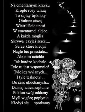 Obrazek wybrany przez użytkownika