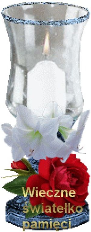 Image chosen by user