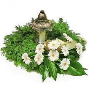 Image chosen by user