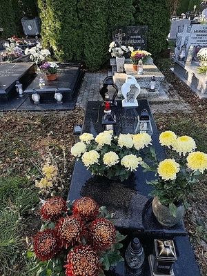 Obrazek wybrany przez użytkownika