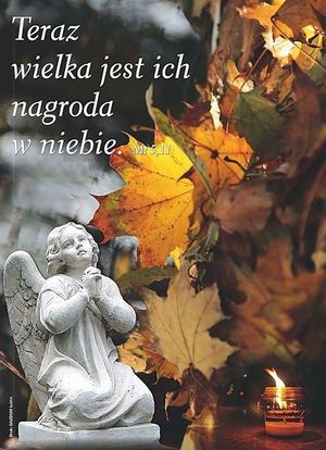 Obrazek wybrany przez użytkownika