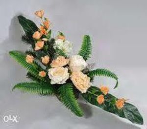 Image chosen by user