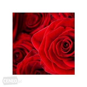 Image chosen by user