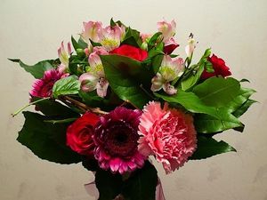 Image chosen by user