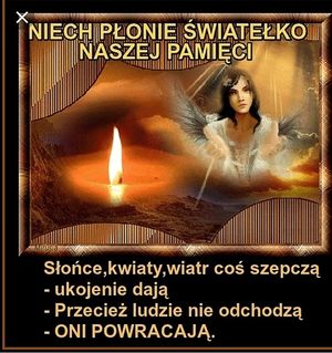 Obrazek wybrany przez użytkownika