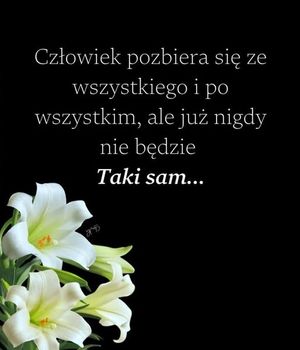 Obrazek wybrany przez użytkownika