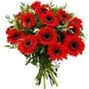 Image chosen by user