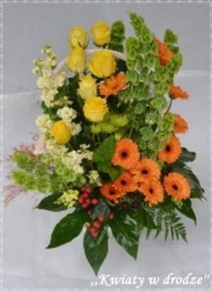 Image chosen by user