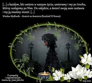 Image chosen by user