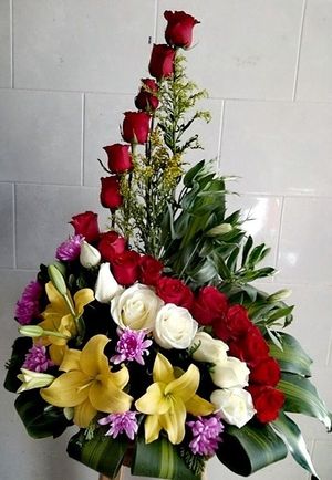 Image chosen by user