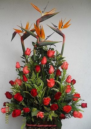 Image chosen by user