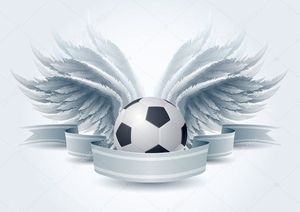 Image chosen by user