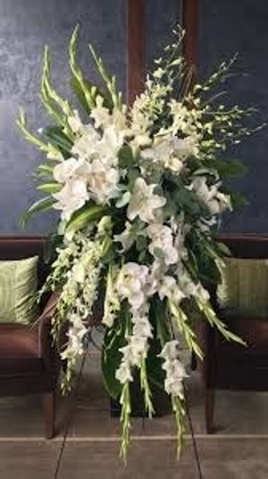 Image chosen by user