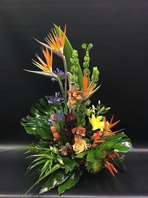 Image chosen by user