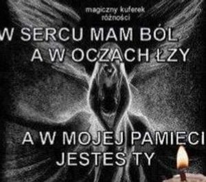 Obrazek wybrany przez użytkownika