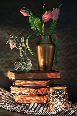 Image chosen by user