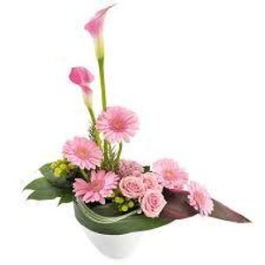 Image chosen by user