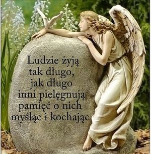 Obrazek wybrany przez użytkownika