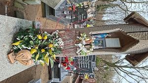 Obrazek wybrany przez użytkownika
