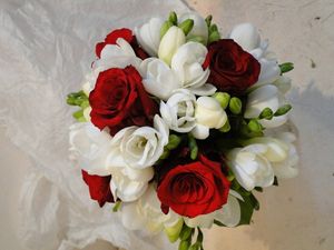 Image chosen by user
