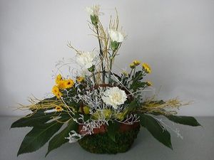 Image chosen by user