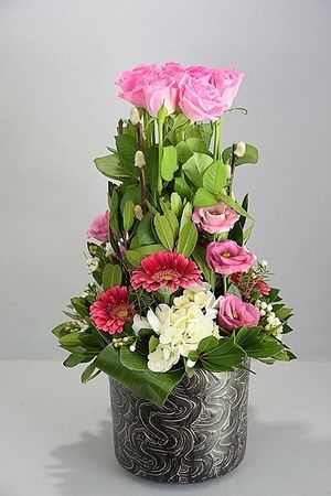 Image chosen by user