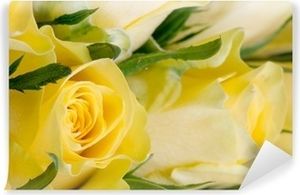 Image chosen by user