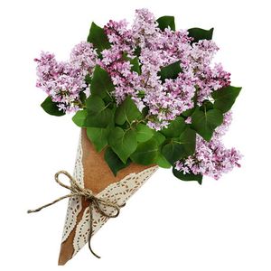 Image chosen by user