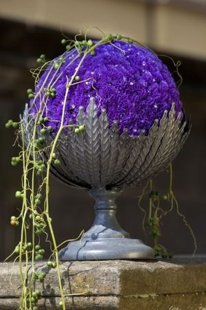 Image chosen by user