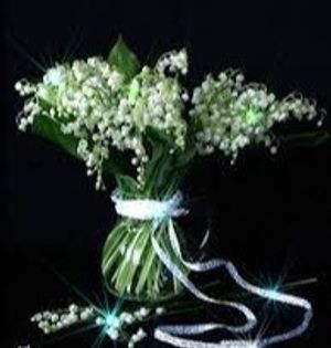 Image chosen by user