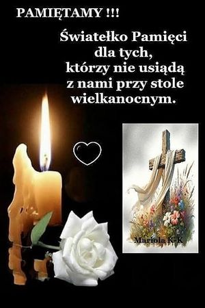 Obrazek wybrany przez użytkownika