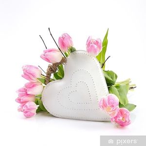 Image chosen by user