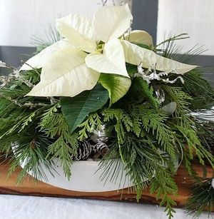 Image chosen by user