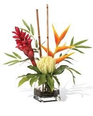 Image chosen by user