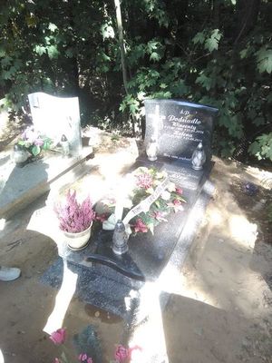 Obrazek wybrany przez użytkownika