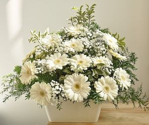 Image chosen by user