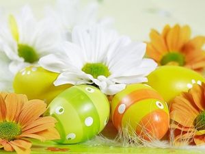 Image chosen by user