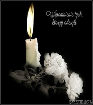 Obrazek wybrany przez użytkownika