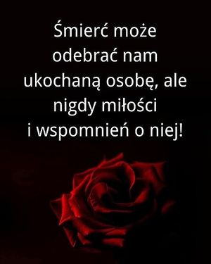 Obrazek wybrany przez użytkownika