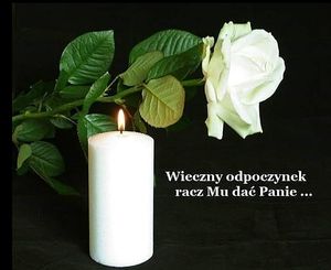 Obrazek wybrany przez użytkownika