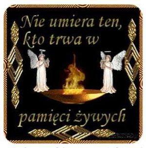 Obrazek wybrany przez użytkownika
