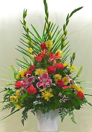 Image chosen by user