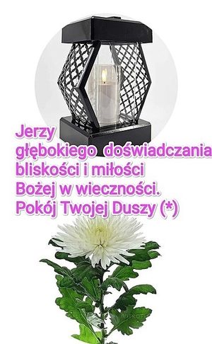Obrazek wybrany przez użytkownika