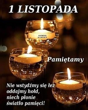 Obrazek wybrany przez użytkownika