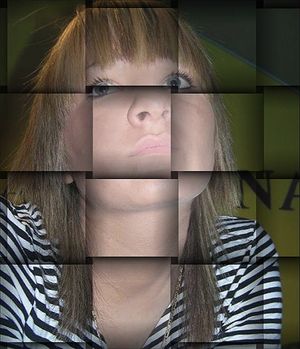 Image chosen by user