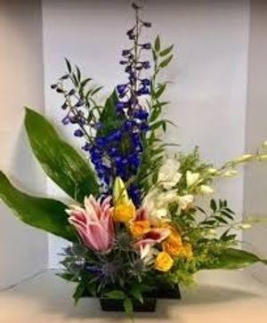 Image chosen by user