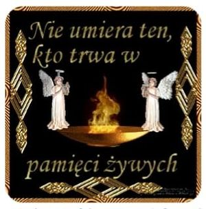 Obrazek wybrany przez użytkownika