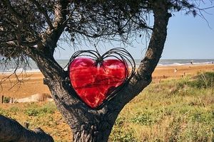 Obrazek wybrany przez użytkownika
